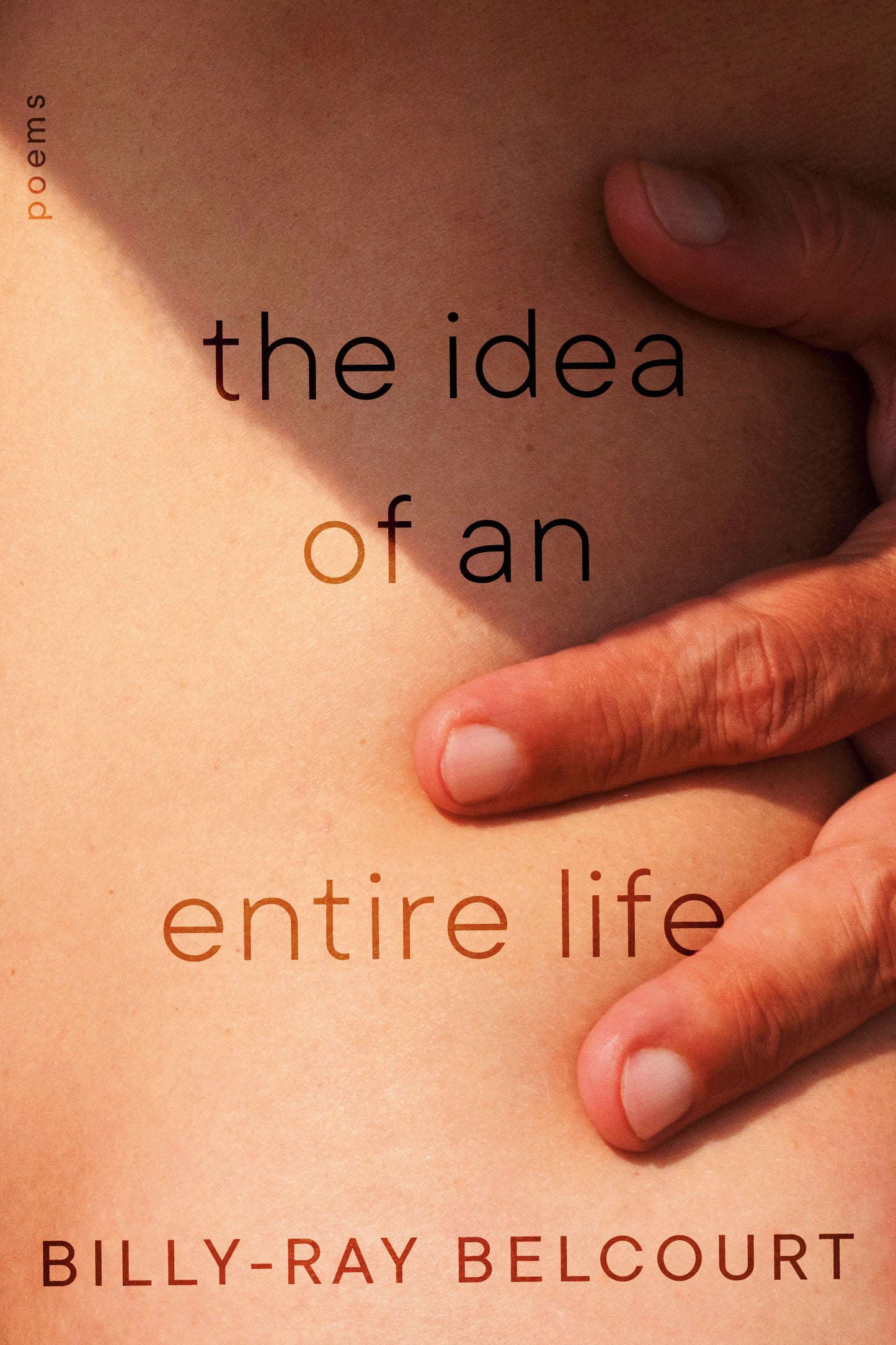 The Idea of An Entire Life