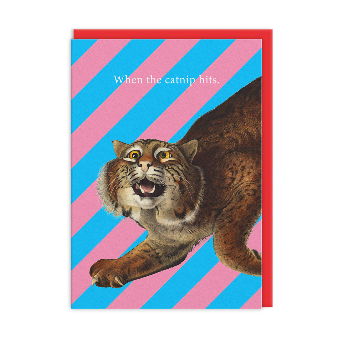 Catnip Hits Greeting Card