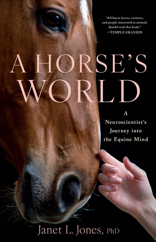 A Horse's World