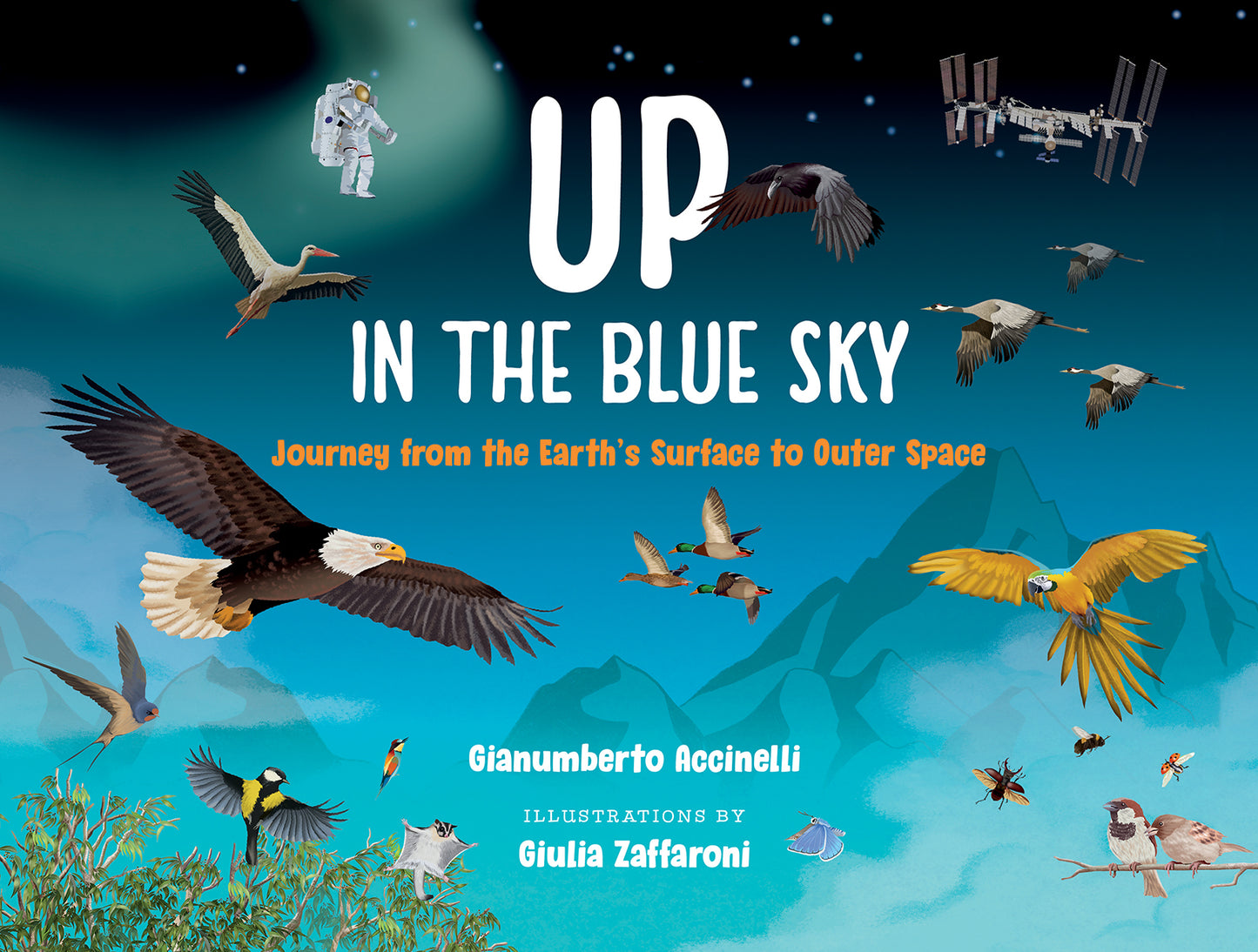 Up in the Blue Sky
