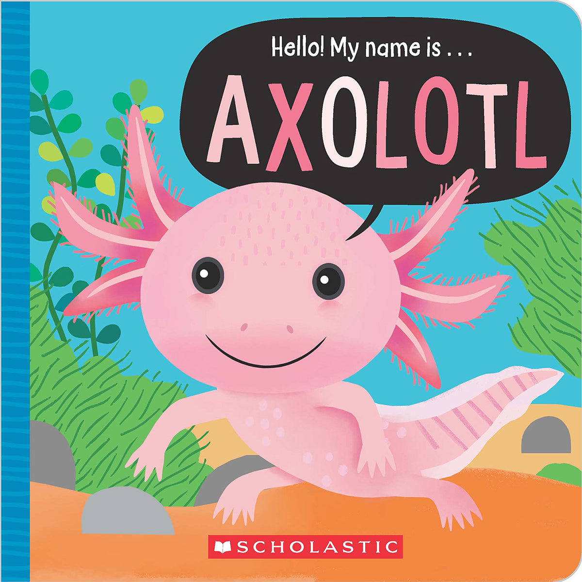 Hello! My Name is Axolotl