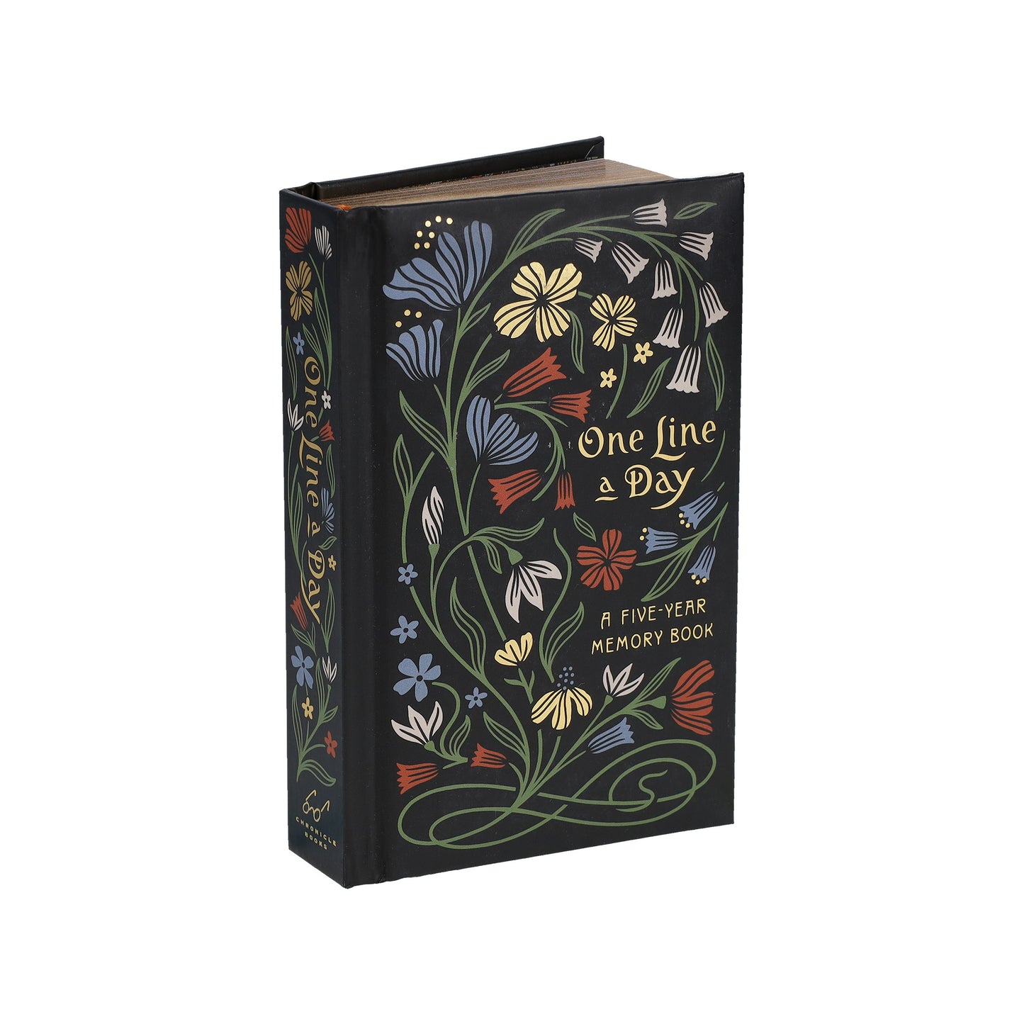 Nouveau One Line a Day