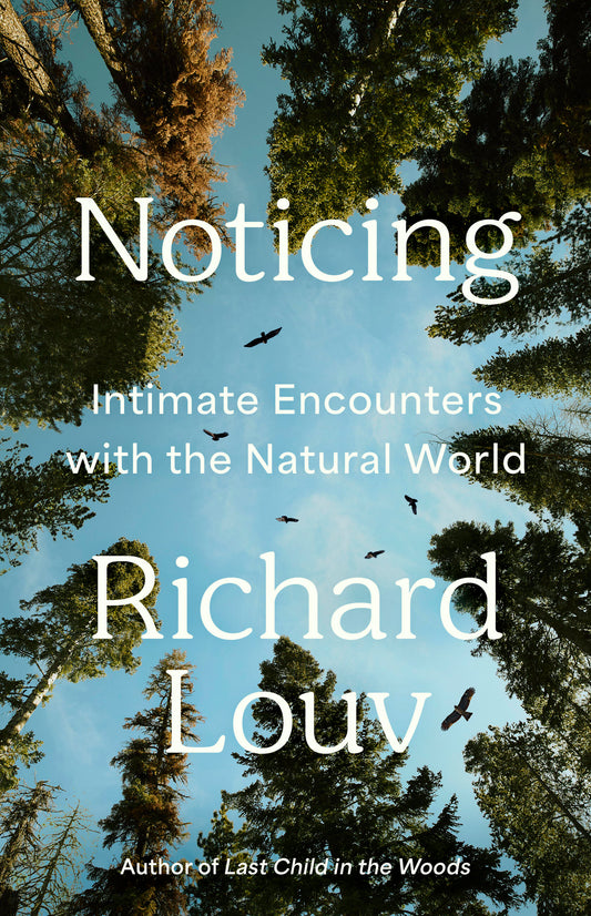 Noticing
