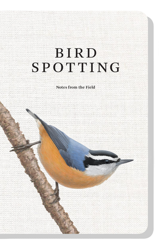 Bird Spotting