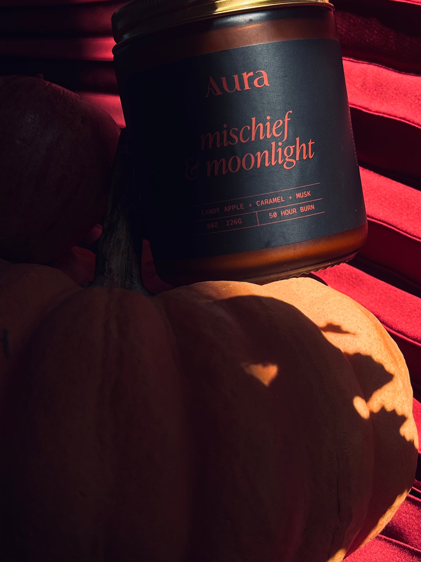 Mischief & Moonlight