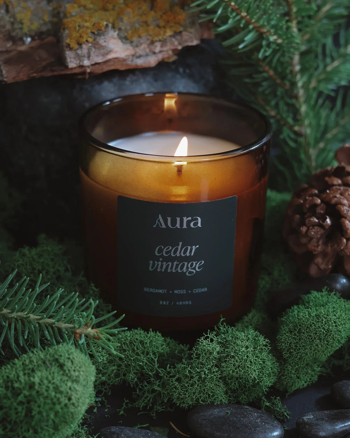 Cedar Vintage