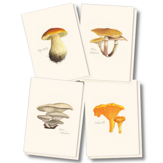 Edible Mushroom Assortment Cards
