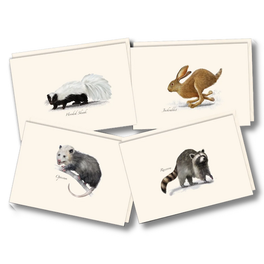 Small Mammal Assortment